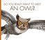 Go to record Do you really want to meet an owl?